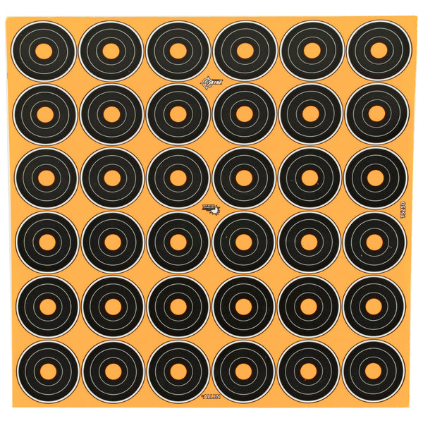 245641150.jpg
