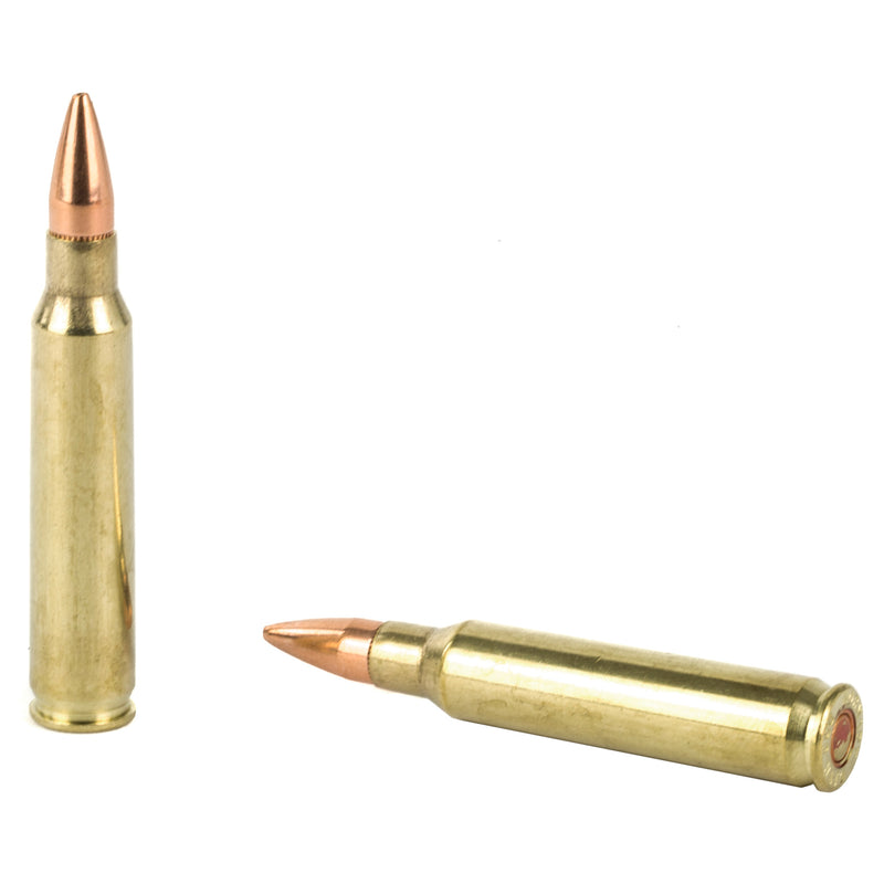 Sf 556Nato 75Gr Bthp Mt 20 / 200