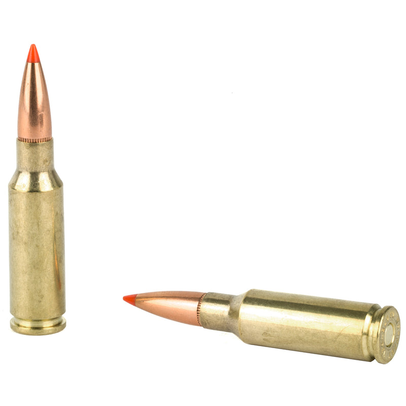 6.5Grendel 123Gr Sst 20 / 200