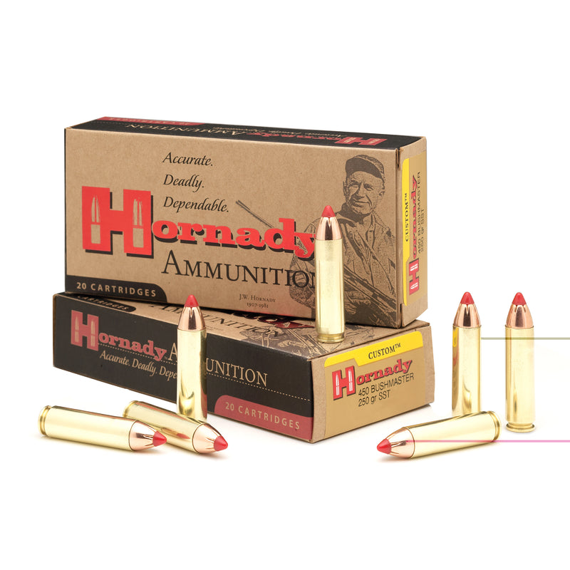 450Bushmaster 250Gr Ftx 20 / 200